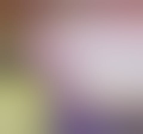 VISION 2025 Official Exhibitor 1024x512