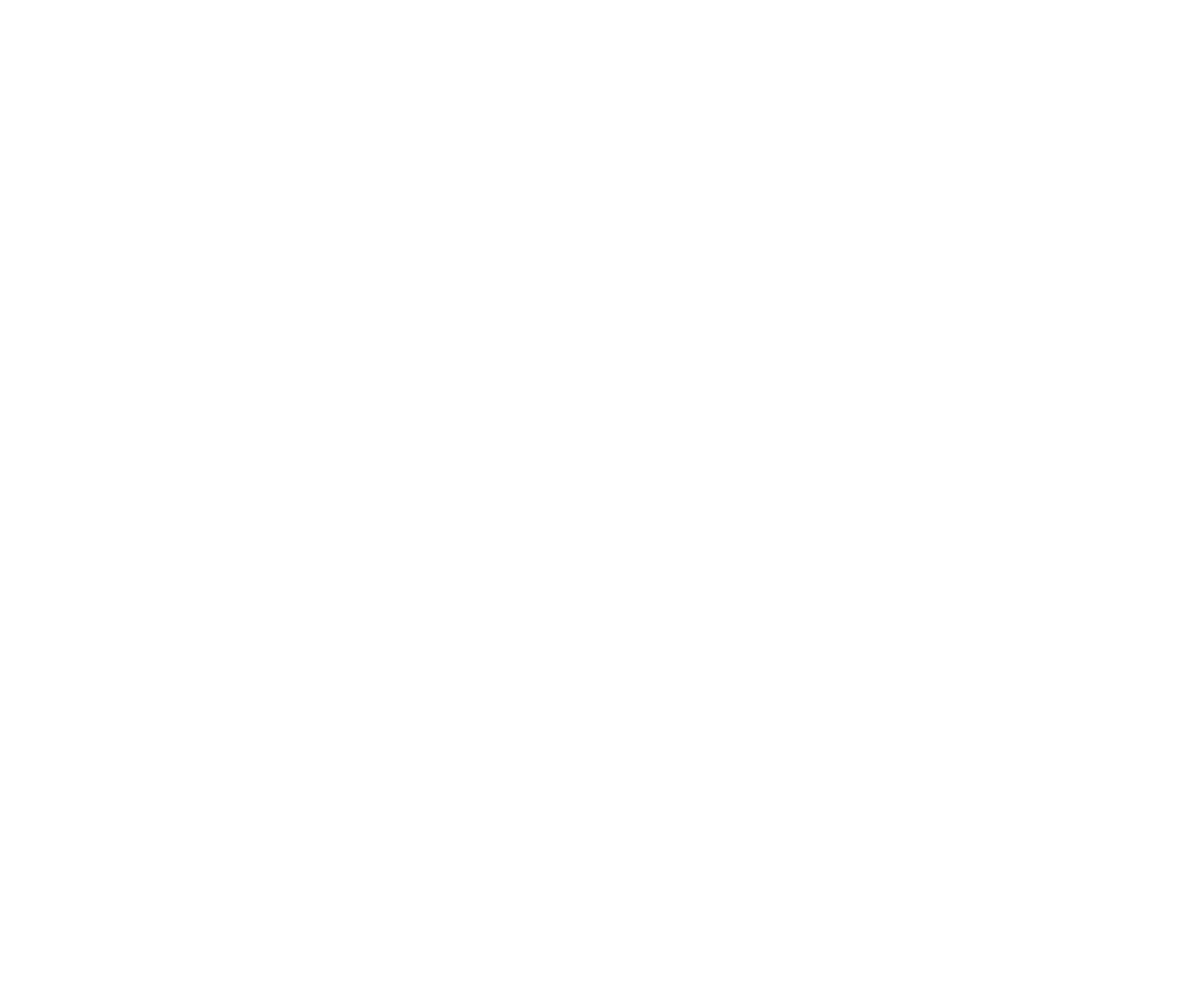 Phone icon white