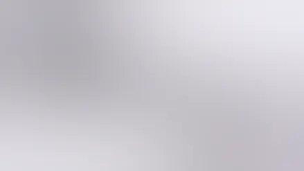 SR Air Trace Visualisation System